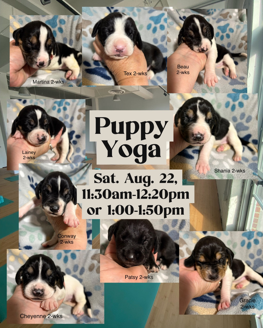 Puppy Yoga
