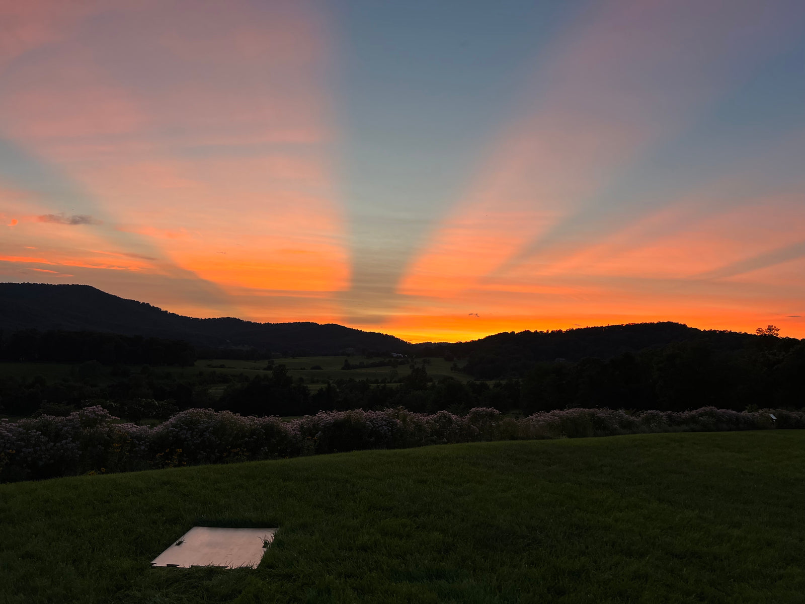 Laps We've Run, Designs We've Done: July & August Edition.