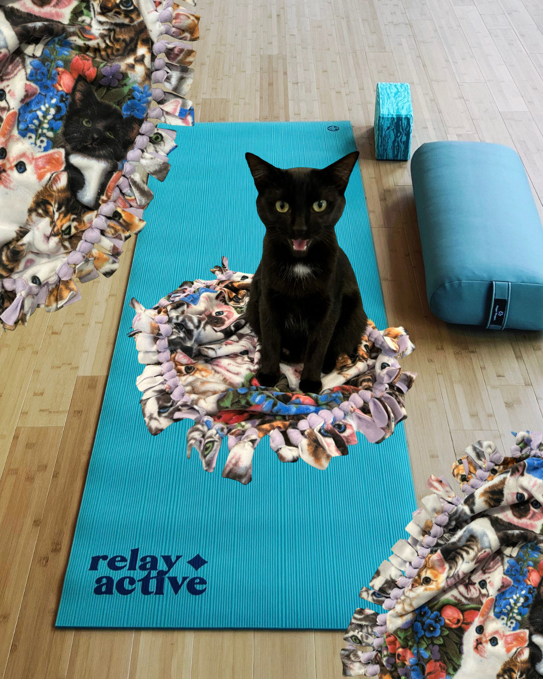 Flow &amp; Fleece: Yoga + Pet Blanket Workshop