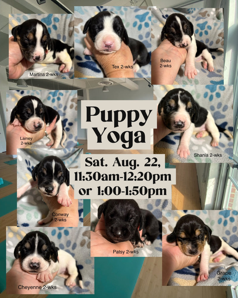 Puppy Yoga