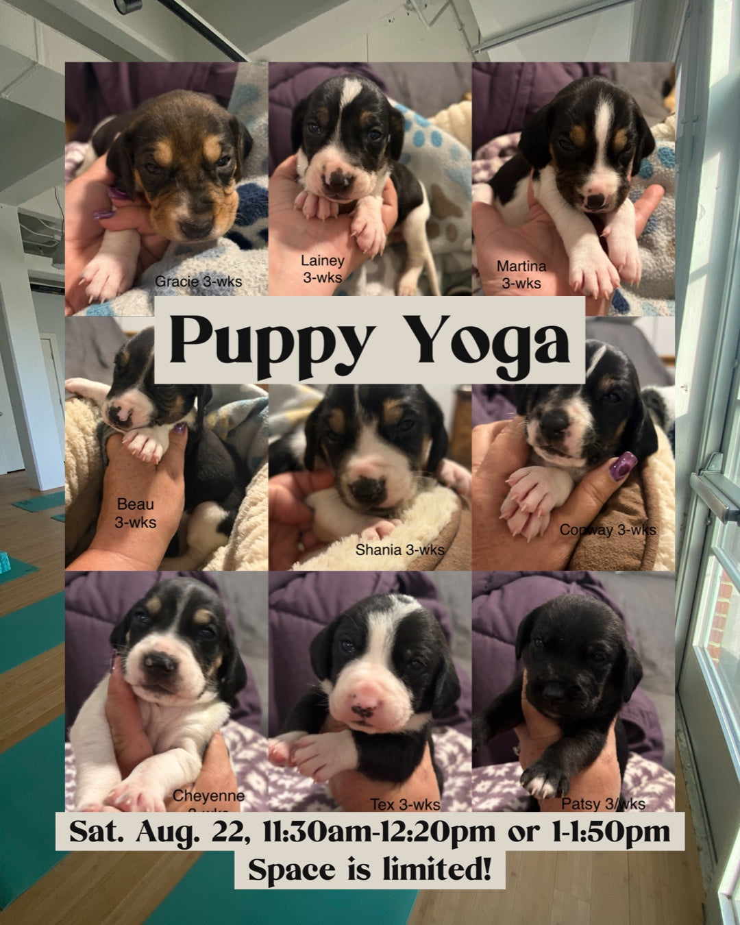 Puppy Yoga