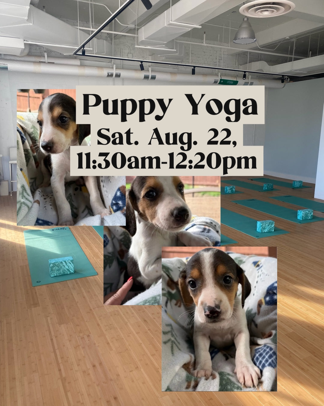 Puppy Yoga