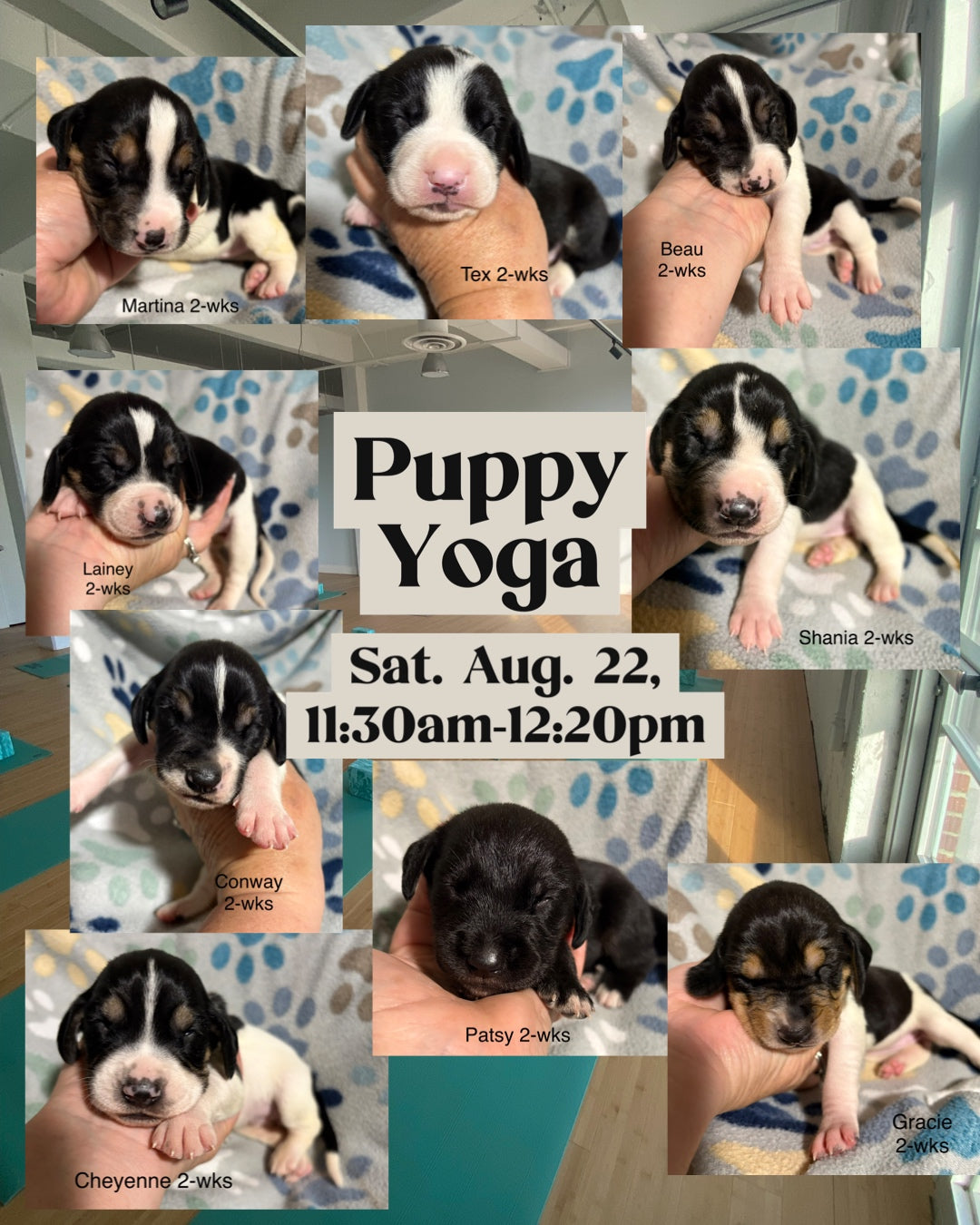 Puppy Yoga
